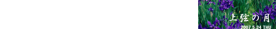 菖蒲ひらく、弓張り月の浮かぶ日