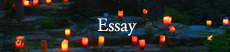 essay